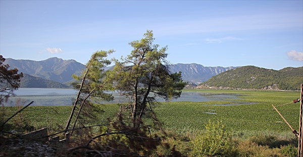 004-Скадарское озеро